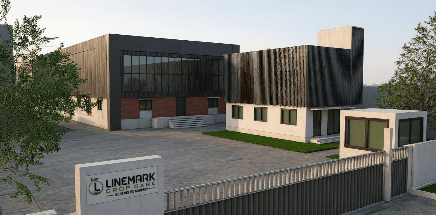 Manufacturing Facility