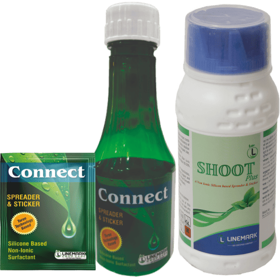 Connect / Shoot Plus