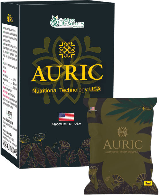 Auric
